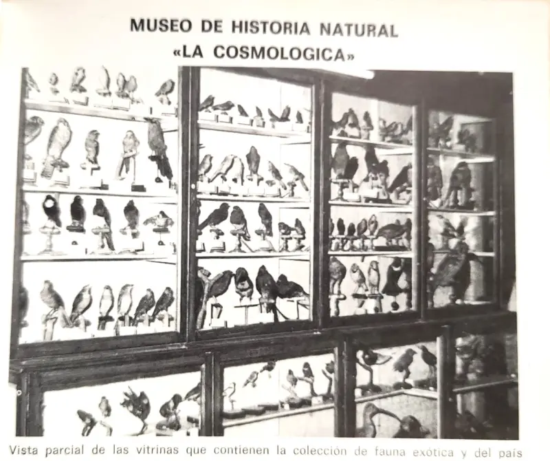 Real Sociedad Cosmológica